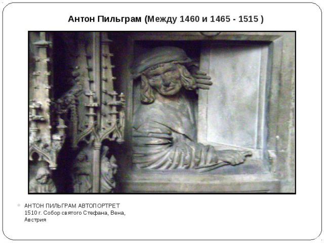 Антон Пильграм (Между 1460 и 1465 - 1515 )АНТОН ПИЛЬГРАМ АВТОПОРТРЕТ 1510 г. Собор святого Стефана, Вена, Австрия