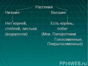 РастенияРастенияНизшие ВысшиеНет корней, Есть корень,стеблей, листьев побег(водо