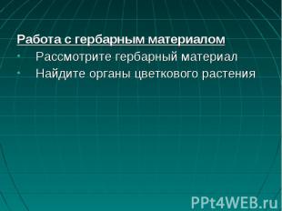 Работа с гербарным материаломРабота с гербарным материаломРассмотрите гербарный