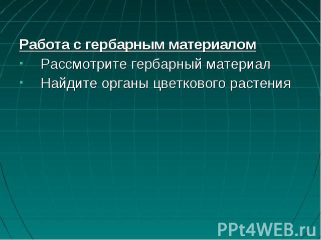 Работа с гербарным материаломРабота с гербарным материаломРассмотрите гербарный материалНайдите органы цветкового растения