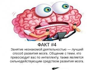 ФАКТ #4 Занятие незнакомой деятельностью — лучший способ развития мозга. Общение