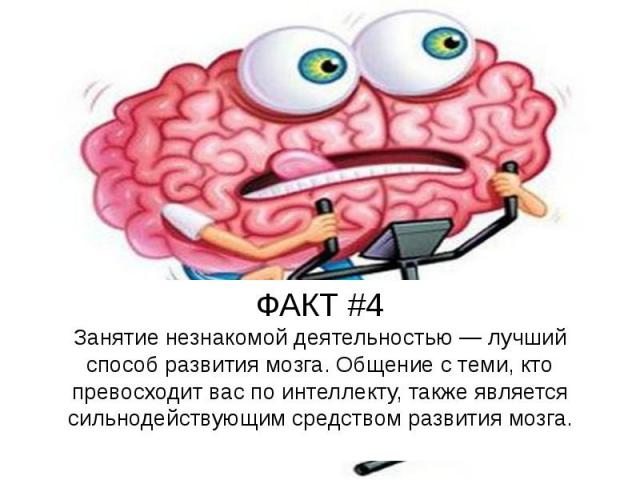 ФАКТ #4 Занятие незнакомой деятельностью — лучший способ развития мозга. Общение с теми, кто превосходит вас по интеллекту, также является сильнодействующим средством развития мозга.