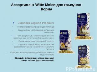 Ассортимент Witte Molen для грызунов Корма Линейка кормов Premium Сбалансированн