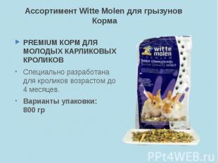 Ассортимент Witte Molen для грызунов Корма PREMIUM КОРМ ДЛЯ МОЛОДЫХ КАРЛИКОВЫХ К
