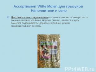 Ассортимент Witte Molen для грызунов Наполнители и сено Цветочное сено с одуванч