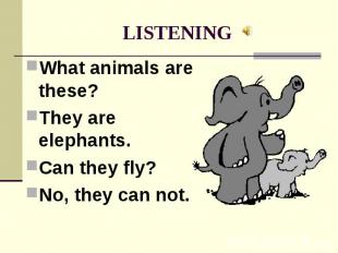 LISTENING What animals are these? They are elephants. Can they fly? No, they can