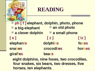READING ph [ f ] elephant, dolphin, photo, phone a big elephant a clever dolphin