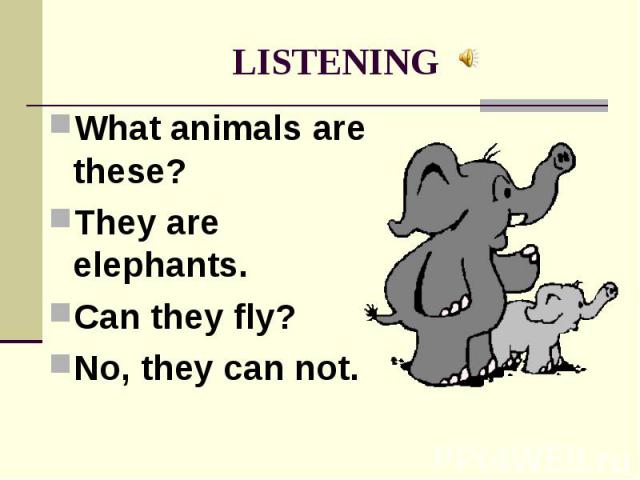 LISTENING What animals are these? They are elephants. Can they fly? No, they can not.