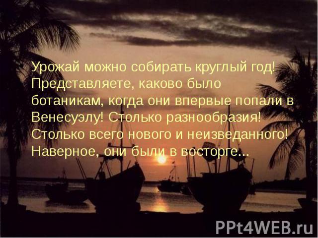 Урожай можно собирать круглый год! Представляете, каково было ботаникам, когда они впервые попали в Венесуэлу! Столько разнообразия! Столько всего нового и неизведанного! Наверное, они были в восторге... Урожай можно собирать круглый год! Представля…