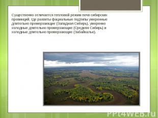 Существенно отличается тепловой режим почв сибирских провинций, где развиты фаци