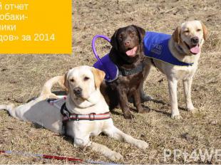 Годовой отчет УКЦ «Собаки-помощники инвалидов» за 2014 год