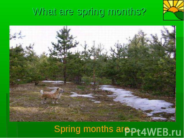 What are spring months?