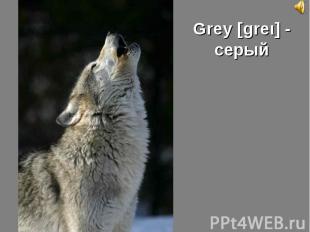 Grey [greι] - серый