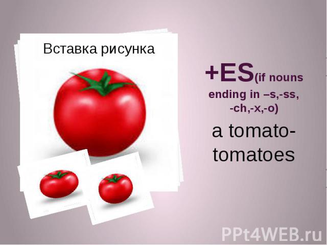 +ES(if nouns ending in –s,-ss, -ch,-x,-o) a tomato-tomatoes