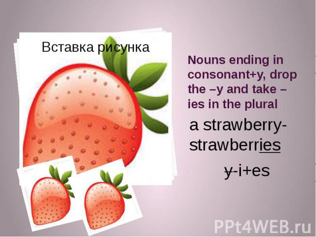 Nouns ending in consonant+y, drop the –y and take –ies in the plural a strawberry-strawberries y-i+es
