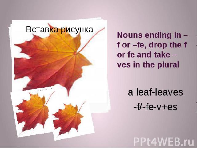Nouns ending in –f or –fe, drop the f or fe and take –ves in the plural a leaf-leaves -f/-fe-v+es