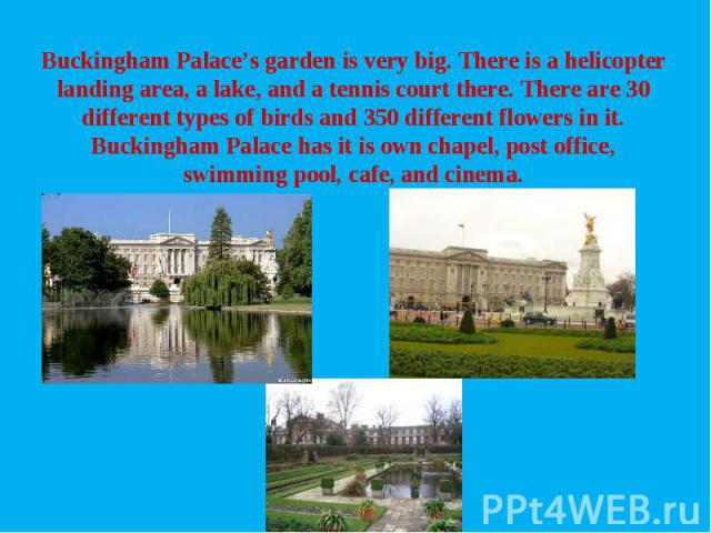 Buckingham Palace’s garden is very big. There is a helicopter landing area, a lake, and a tennis court there. There are 30 different types of birds and 350 different flowers in it. Buckingham Palace has it is own chapel, post office, swimming pool, …