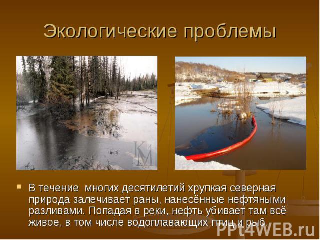 Экологические проблемы В течение многих десятилетий хрупкая северная природа залечивает раны, нанесённые нефтяными разливами. Попадая в реки, нефть убивает там всё живое, в том числе водоплавающих птиц и рыб.