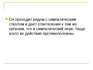 Он проходит рядом с симпатическим стволом и дает ответвления к тем же органам, ч