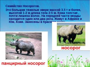 Семейство Носорогов. Семейство Носорогов. Это большие тяжелые звери массой 3.5 т