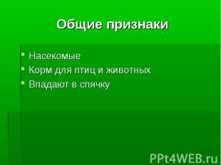 Насекомые Насекомые Корм для птиц и животных Впадают в спячку