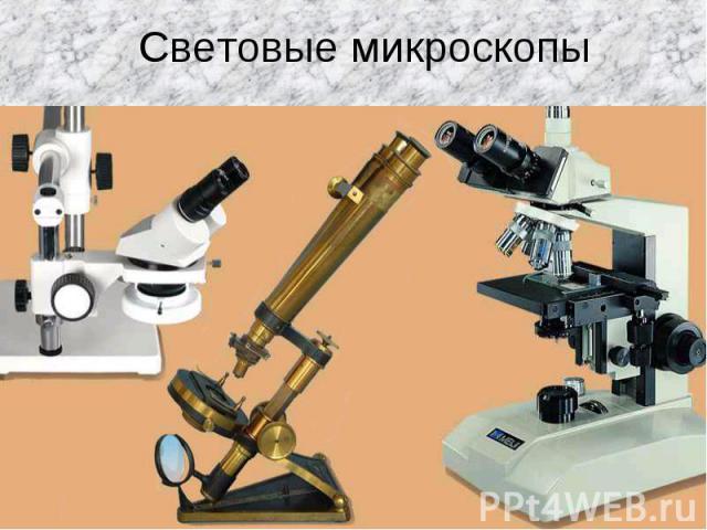 Световые микроскопы