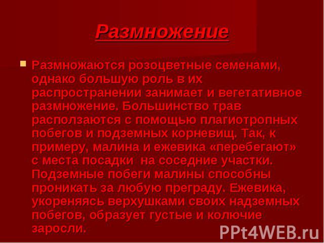 Размножение Размножаются розоцветные семенами, однако большую роль в их распространении занимает и вегетативное размножение. Большинство трав расползаются с помощью плагиотропных побегов и подземных корневищ. Так, к примеру, малина и ежевика «перебе…