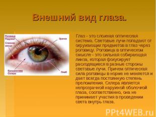 Внешний вид глаза. Глаз - это сложная оптическая система. Световые лучи попадают