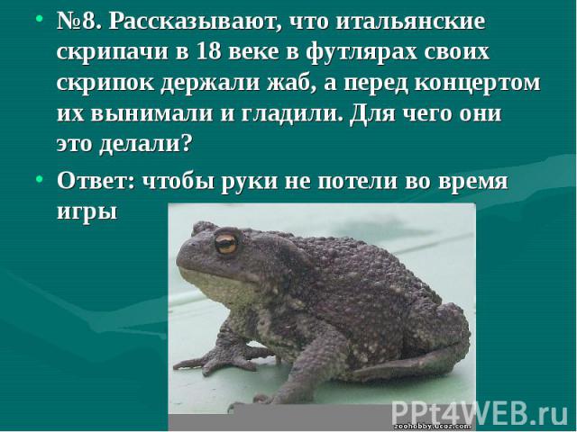 №8. Рассказывают, что итальянские скрипачи в 18 веке в футлярах своих скрипок держали жаб, а перед концертом их вынимали и гладили. Для чего они это делали? №8. Рассказывают, что итальянские скрипачи в 18 веке в футлярах своих скрипок держали жаб, а…