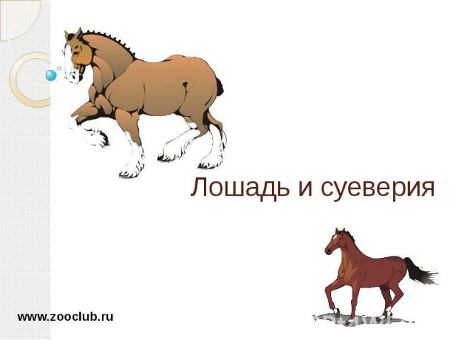 Лошадь и суеверия