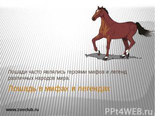 Лошадь в мифах и легендах Лошади часто являлись героями мифов и легенд различных