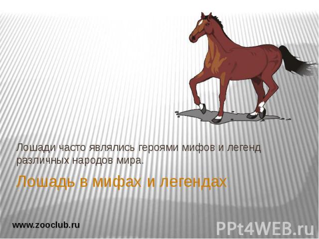 Лошадь в мифах и легендах Лошади часто являлись героями мифов и легенд различных народов мира.