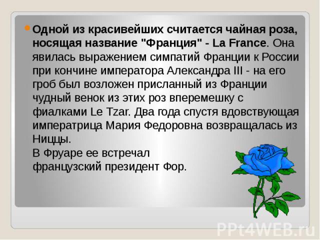 Одной из красивейших считается чайная роза, носящая название "Франция" - La France. Она явилась выражением симпатий Франции к России при кончине императора Александра III - на его гроб был возложен присланный из Франции чудный венок из эти…
