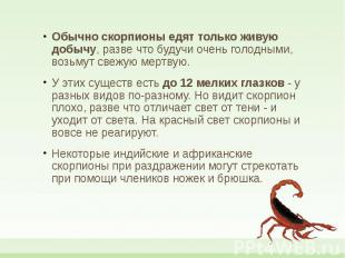 Обычно скорпионы едят только живую добычу, разве что будучи очень голодными, воз