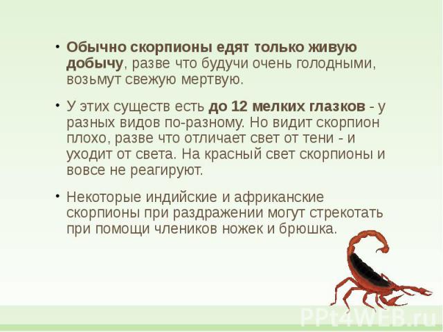 Обычно скорпионы едят только живую добычу, разве что будучи очень голодными, возьмут свежую мертвую. Обычно скорпионы едят только живую добычу, разве что будучи очень голодными, возьмут свежую мертвую. У этих существ есть до 12 мелких глазков - у ра…