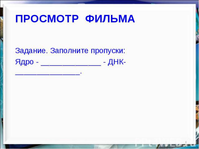 Задание. Заполните пропуски: Задание. Заполните пропуски: Ядро - ______________ - ДНК- _______________.