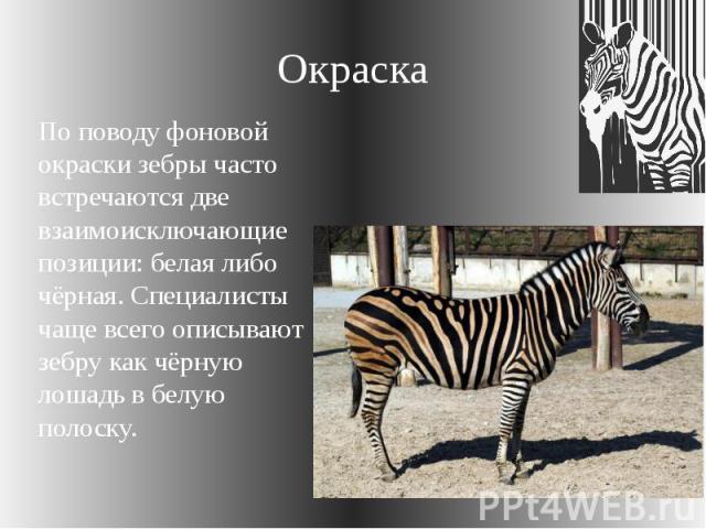 Окраска По поводу фоновой окраски зебры часто встречаются две взаимоисключающие позиции: белая либо чёрная. Специалисты чаще всего описывают зебру как чёрную лошадь в белую полоску.