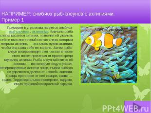 НАПРИМЕР: симбиоз рыб-клоунов с актиниями. Пример 1 Примером мутуализма является