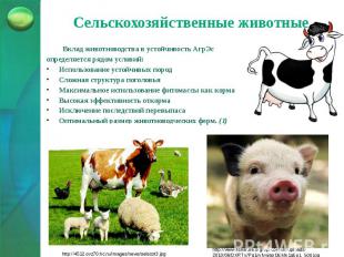 Сельскохозяйственные животные Вклад животноводства в устойчивость АгрЭс определя