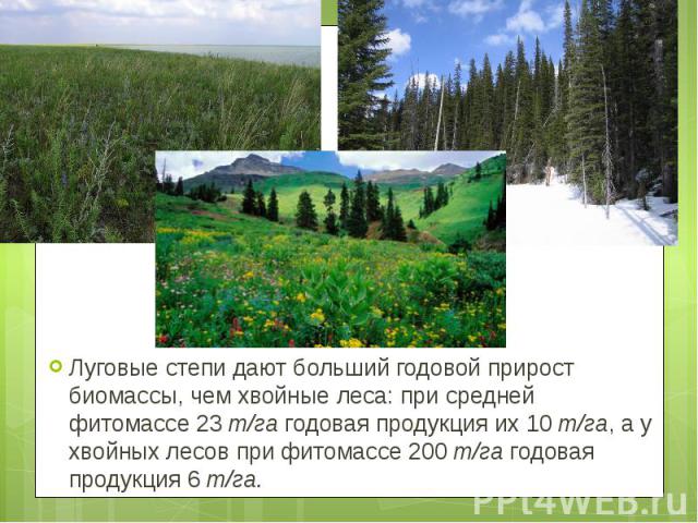 Луговые степи дают больший годовой прирост биомассы, чем хвойные леса: при средней фитомассе 23 т/га годовая продукция их 10 т/га, а у хвойных лесов при фитомассе 200 т/га годовая продукция 6 т/га.  Луговые степи д…