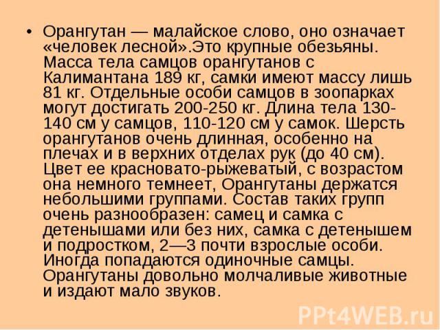 Орангутан — малайское слово, оно означает «человек лесной».Это крупные обезьяны. Масса тела самцов орангутанов с Калимантана 189 кг, самки имеют массу лишь 81 кг. Отдельные особи самцов в зоопарках могут достигать 200-250 кг. Длина тела 130-140 см у…