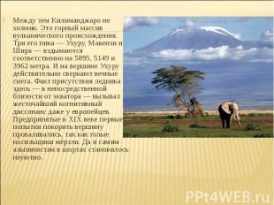 Между тем Килиманджаро не холмик. Это горный массив вулканического происхождения