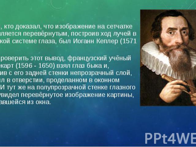 Первым, кто доказал, что изображение на сетчатке глаза является перевёрнутым, построив ход лучей в оптической системе глаза, был Иоганн Кеплер (1571 - 1630). Первым, кто доказал, что изображение на сетчатке глаза является перевёрнутым, построив ход …