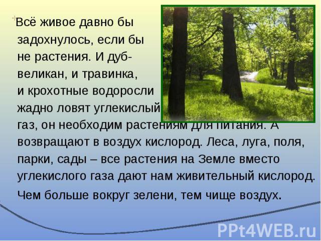 Всё живое давно бы Всё живое давно бы задохнулось, если бы не растения. И дуб- великан, и травинка, и крохотные водоросли жадно ловят углекислый газ, он необходим растениям для питания. А возвращают в воздух кислород. Леса, луга, поля, парки, сады –…