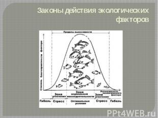 Законы действия экологических факторов