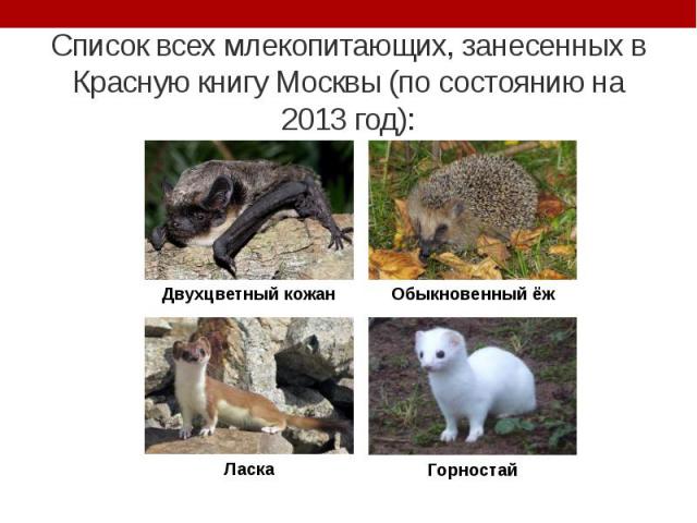 Список всех млекопитающих, занесенных в Красную книгу Москвы (по состоянию на 2013 год):