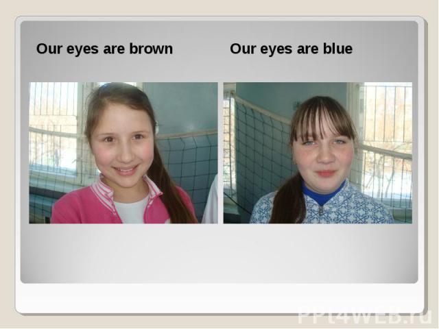 Our eyes are brown Our eyes are brown