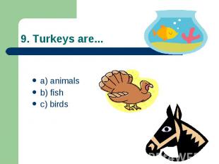 9. Turkeys are... a) animals b) fish c) birds