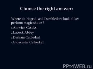 Where do Hagrid and Dumbledore look-alikes perform magic shows? Where do Hagrid