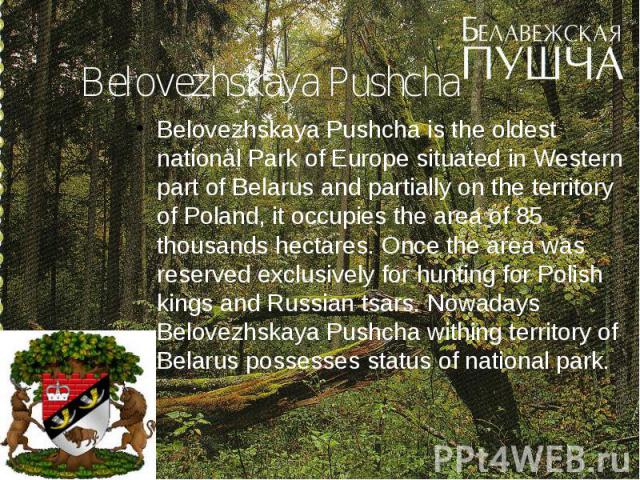 Belovezhskaya Pushcha Belovezhskaya Pushcha is the oldest national Park of Europe situated in Western part of Belarus and partially on the territory of Poland, it occupies the area of 85 thousands hectares. Once the area was reserved exclusively for…